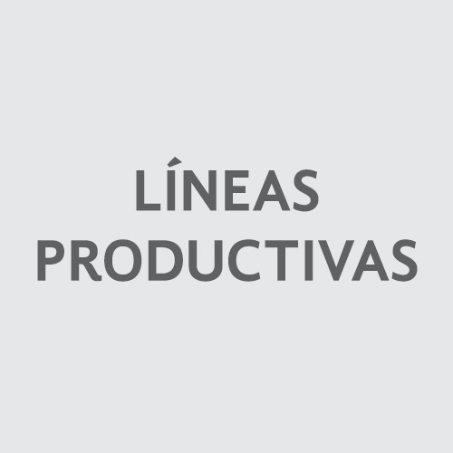 Líneas Corporativas